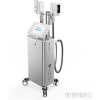 Standing Fat Freezing Slimming Beauty Machine