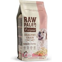 Raw Paleo Healthy Grain Salmon & Barley Puppy 10kg