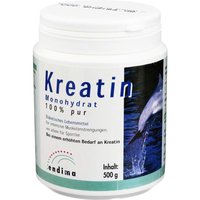 Kreatin Monohydrat 100% Pur 100 % Pulver