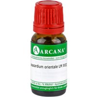 Anacardium Orientale Lm 18 LM18 Dilution