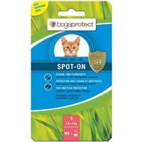 Bogaprotect Spot On Katze S