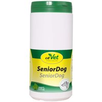 Senior Dog