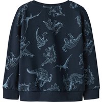 Name It Sweatshirt Dinos