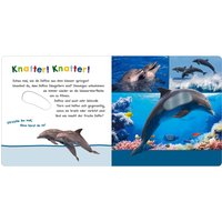 Arsedition Soundbilderbuch Hör mal rein, wer kann das sein? - Im Ozean