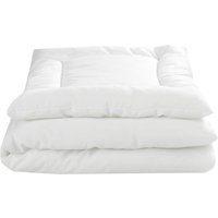 Julius Zöllner 2-tlg. Steppbett-Set Hygiena 35x40 / 80x80 cm