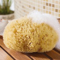 Moderne Hausfrau Angebot für moderne Haushalte 17% Rabatt auf Naturschwämme