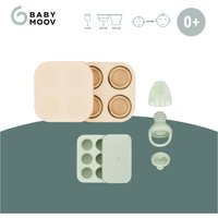 Babymoov 3-tlg. Fruchtsaugerset inkl. Eiswürfelform