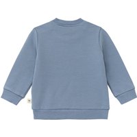 Bornino Wild Nature Sweatshirt Dino
