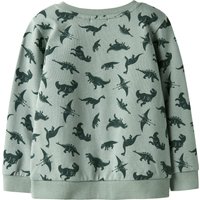Name It Sweatshirt Dinos