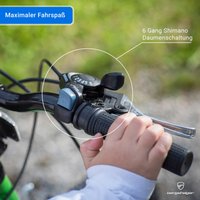 Bergsteiger Mountainbike Montreal 20 Zoll / 24 Zoll