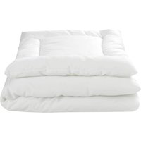 Julius Zöllner 2-tlg. Steppbett-Set Hygiena, Allergiker geeignet, 40x60 / 100x135 cm