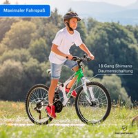 Bergsteiger Mountainbike Montreal 20 Zoll / 24 Zoll
