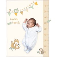 Baby Best Babydecke Microfaserflausch Meilenstein 75x100 cm