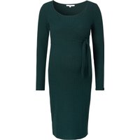 Noppies Umstands- und Still-Kleid Redan