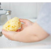 Rotho Babydesign Badeschwamm