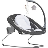 Hauck Babywippe Alpha Bouncer 2in1 Deluxe