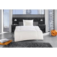 f.a.n. frankenstolz® Vierjahreszeitensteppbett Kochfest und langlebig