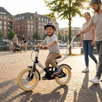 Prometheus Bicycles Schiebestange Schubstange Push