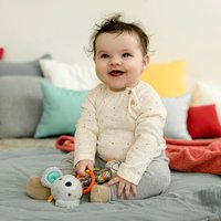 Fehn Rassel Regenmacher Koala DoBabyDoo