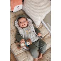 Solini Spieluhr Bär Forest Friends