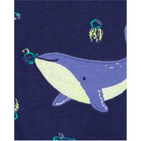 Carter's Spieler ohne Arm Meerestiere