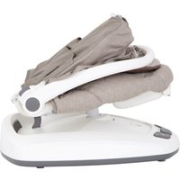 Graco Babyschaukel Move with Me Little Adventures