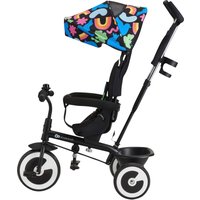 Kinderkraft Dreirad ASTON