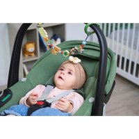 Eichhorn Baby Wagenkette