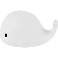 Flow Amsterdam Nachtlicht Wal Moby