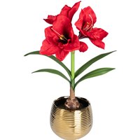 Moderne Hausfrau Angebot für moderne Haushalte 22% Rabatt auf AmaryllisKunstblumenSet