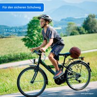 Bergsteiger Citybike Sydney 20 Zoll / 24 Zoll