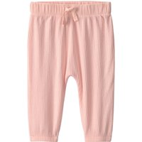 Carter's 4-tlg. Set 2x Bodys langarm und 2x Jogginghosen Blumen Rippqualität