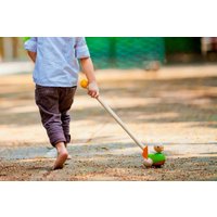 Plantoys Schiebeente