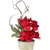 Arrangement „Amaryllis“