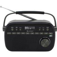 Tragbares Digitalradio DAB280SW