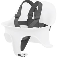 Cybex Gold Gurt für Treppenhochstuhl Lemo 2.0