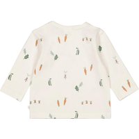 Feetje Shirt langarm Gemüse