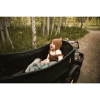 Veer Bollerwagen Cruiser