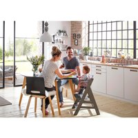 Hauck Bundle Hochstuhl Alpha+ inklusive Tray