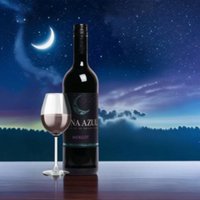 Luna Azul Chilean Merlot - 12 x 75cl Bottles (10% Off) | (1x75cl)