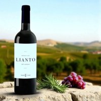 Lianto Primitivo 75cl - 12 x 75cl Bottles (10% Off) | Lianto Primitivo 75Cl (1x75cl)
