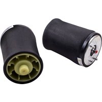 Maxpeedingrods Get 21% Discount on 2 Rear Airmatic Suspension Assemblies for BMW E53 X5