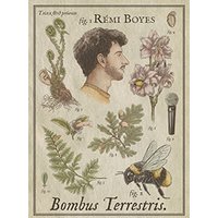 CDiscount Billetterie Rémi boyes