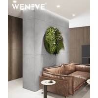 60x60 cm VT - (S50 Mglista szarość impregnacja półpołysk) - płyta beton architektoniczny