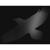 Odin's Raven Magic
