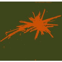 Bizarro (National Album Day 2024) (Limited Edition)