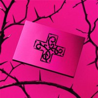 7TH YEAR: A Moment of Stillness in the Thorns (ANXIETY Ver.)