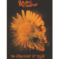 The Attractions of Youth