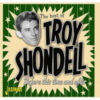 Before This Time and After: The Best of Troy Shondell