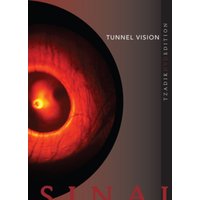 Raz Mesinai: Tunnel Vision